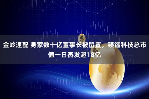 金岭速配 身家数十亿董事长被留置，臻镭科技总市值一日蒸发超18亿
