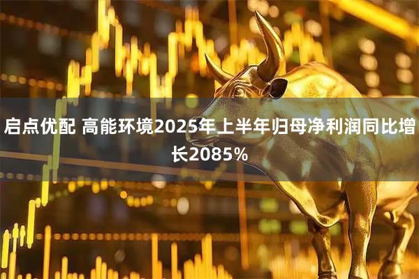 启点优配 高能环境2025年上半年归母净利润同比增长2085%