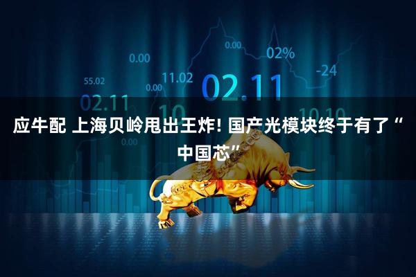 应牛配 上海贝岭甩出王炸! 国产光模块终于有了“中国芯”